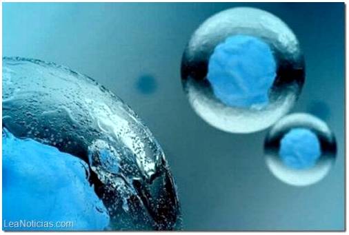 Что такое консервация стволовых клеток?