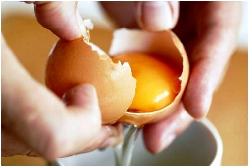 Когда вводить яйцо в рацион детей?