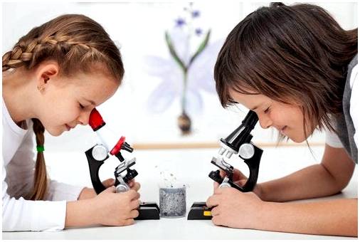 Биология для детей: 3 эксперимента, которые нужно провести дома