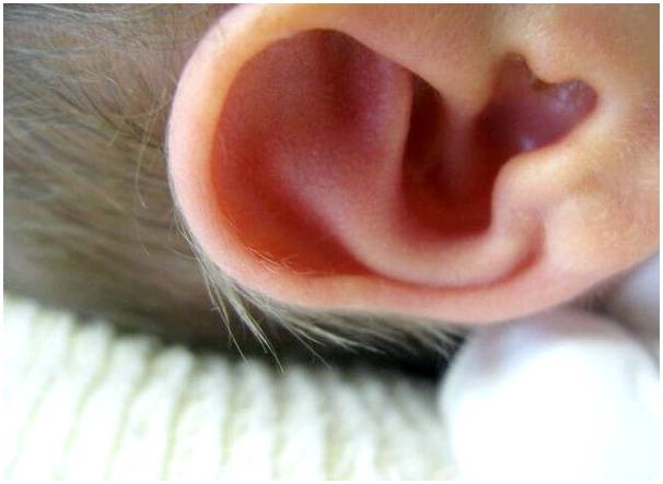 Почему нельзя чистить уши малыша тампонами?