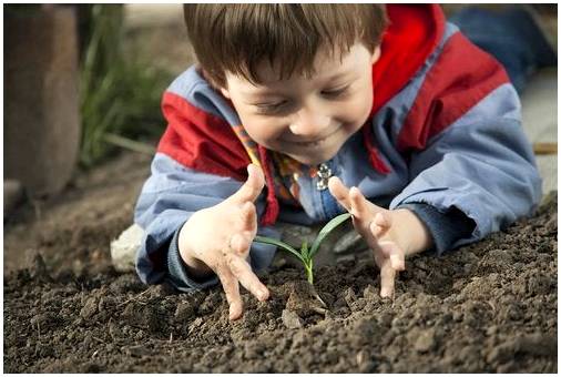 Почему хорошо учить детей уважать окружающую среду?