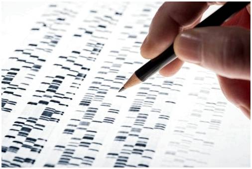 Пренатальный генетический тест: характеристики и преимущества
