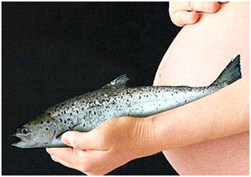 Хорошо ли есть рыбу при беременности?