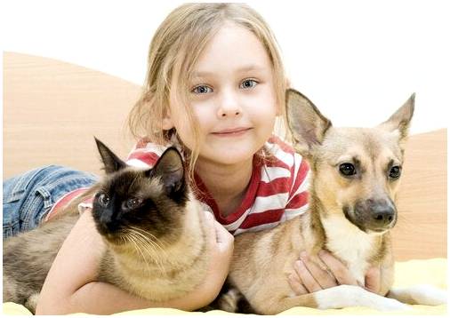 Преимущества контакта детей с животными