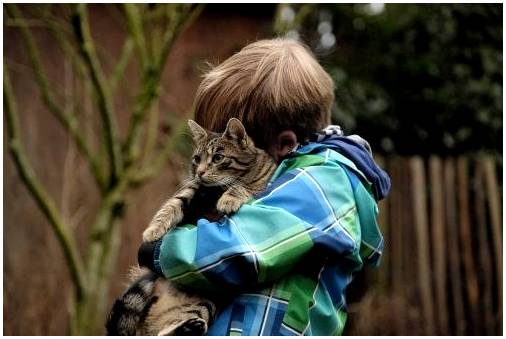 Дружба между домашними животными и детьми