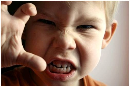 Гнев у детей: что могут сделать родители?